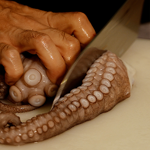 trattoria Sulzano lago d'Iseo, cucina tradizionale italiana, italian food, pesce, polipo