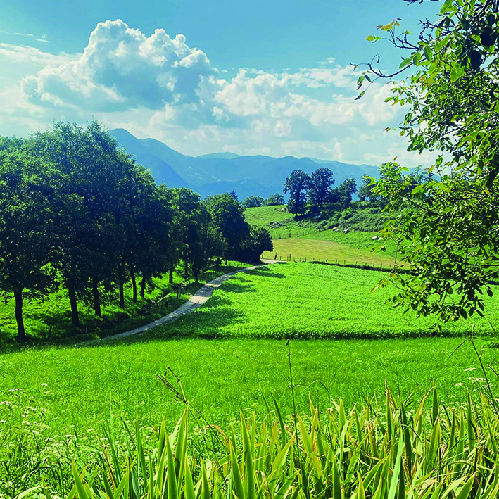 Trattoria colline Sulzano, ristoranti lago d'Iseo, cucina tradizionale italiana, italian food